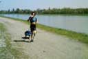 Projet trottinette